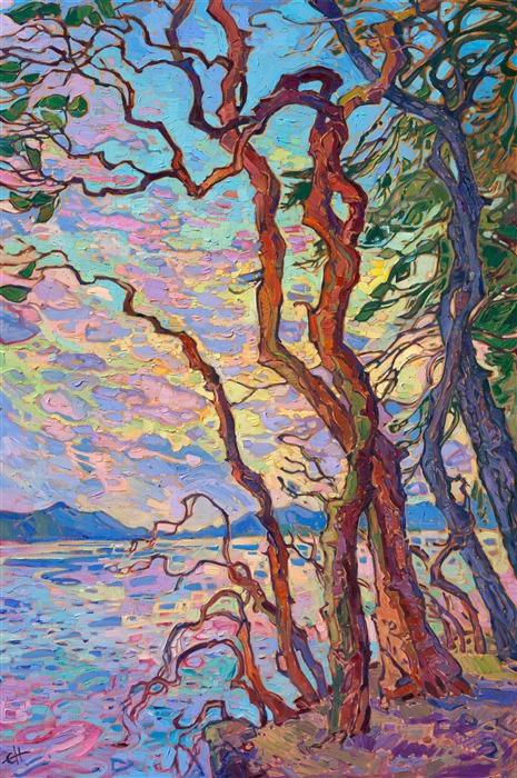 Washington's madrone trees are so fun to paint--their twisting, twirling, multi-colored bark is captured in thick, expressive brush strokes of oil paint. A sunrise-colored sky fills the background in this painting of the San Juan islands.