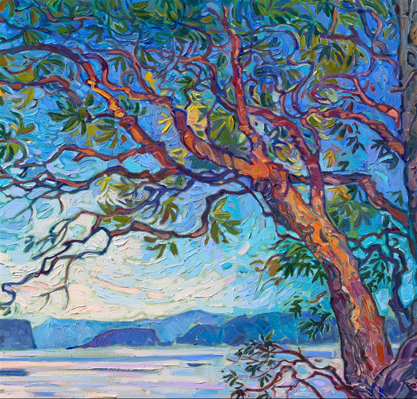 When I visited the San Juan Islands in Washington on a recent photo safari, my goal was to find as many paintable madrone trees as possible. This painting captures some of my favorite madrones, which I found on Orcas Island. I love the way their red, flaky bark looks against the Northwestern backdrop of blues and greens. I used thick, expressive brushstrokes of oil paint to capture a feeling of movement and transient light.
